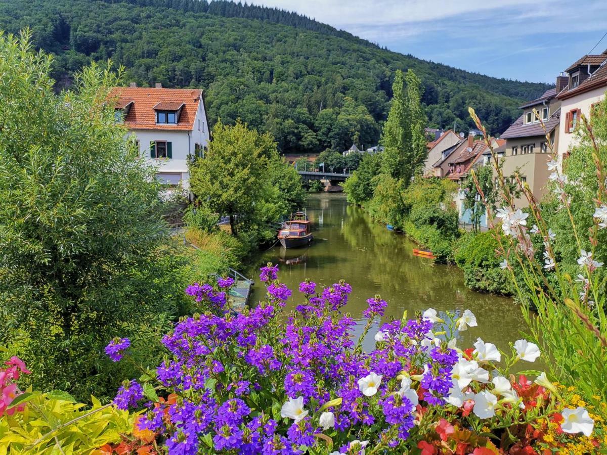 Ferienwohnungen Flussufer - Neckargemünd Altstadt Exterior foto